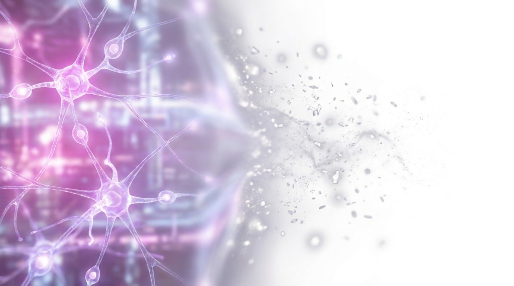 Apoptosis Sandbox — metabolic immunity cycle purifying organizational intelligence
